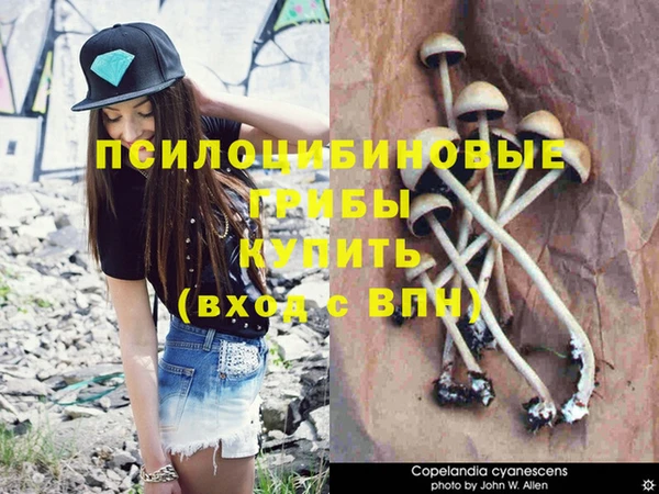 MDMA Касимов