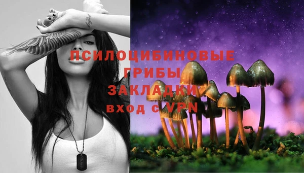 Альфа ПВП Карталы