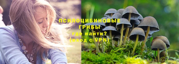 apvp Каменногорск