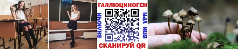 Галлюциногенные грибы Magic Shrooms  Купить закладки  Сусуман 